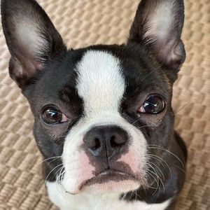 Meet your Posher, Christopher